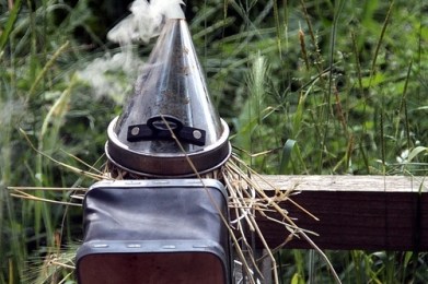 Rauhnächte: Räuchern, Rituale & mehr