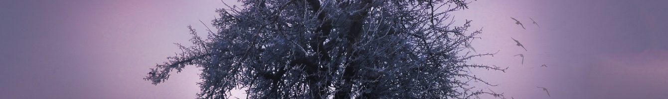 Die Kraft der Rauhnächte