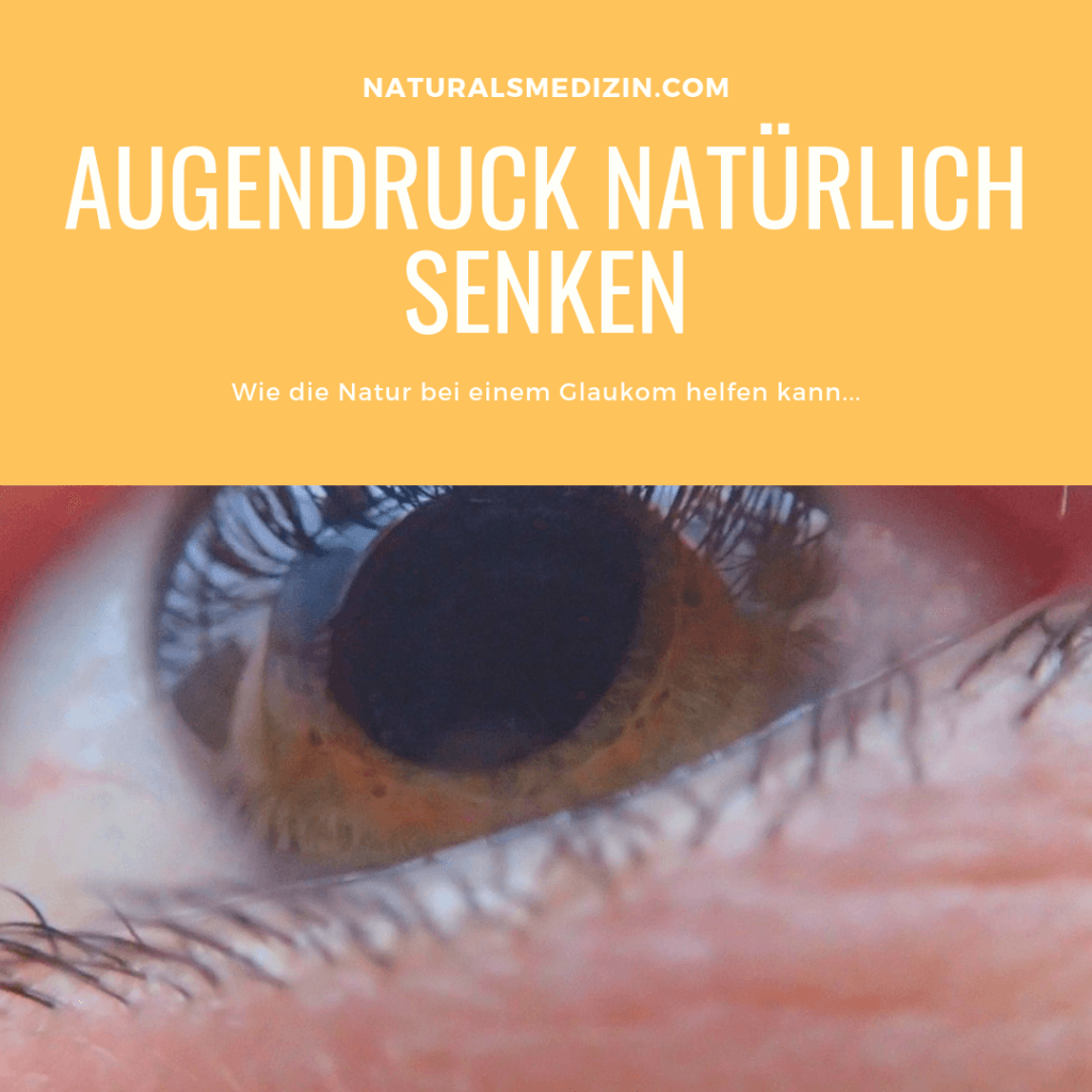 Augendruck natürlich senken - Glaukom