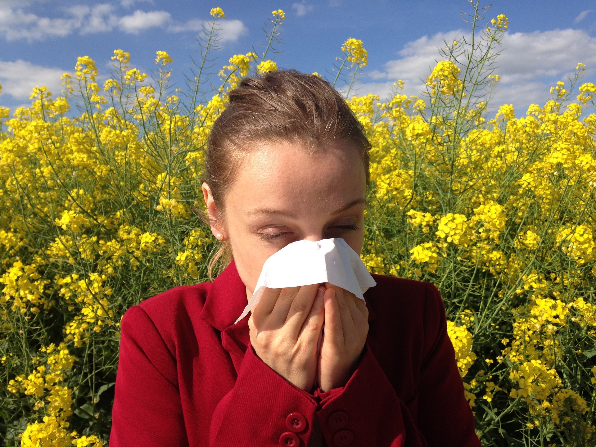 Akuter Heuschnupfen: Diese Hausmittel helfen bei Pollenallergie