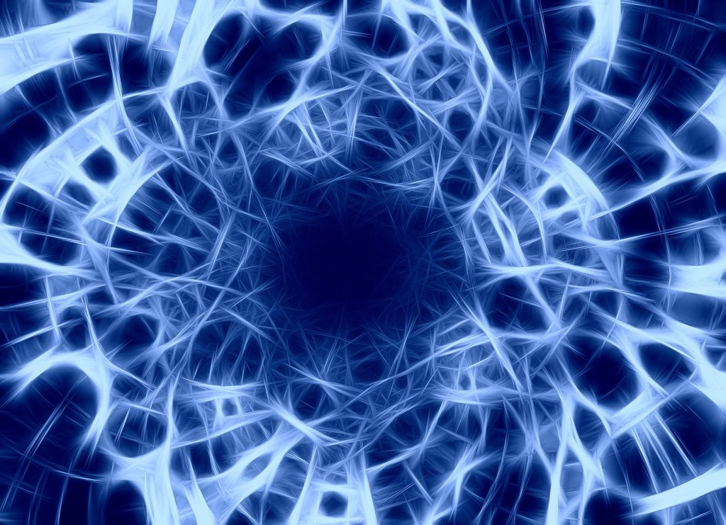 Der Vagusnerv ist wichtig für uns Menschen