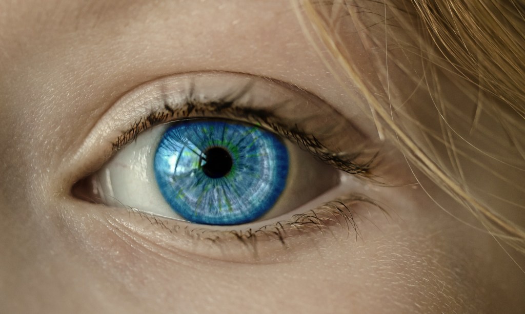 Gesunde Augen - Nährstoffe, Vitamine und mehr für die Augen